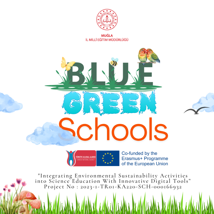 Blue-Green kalemlik Tasarımı kopyası